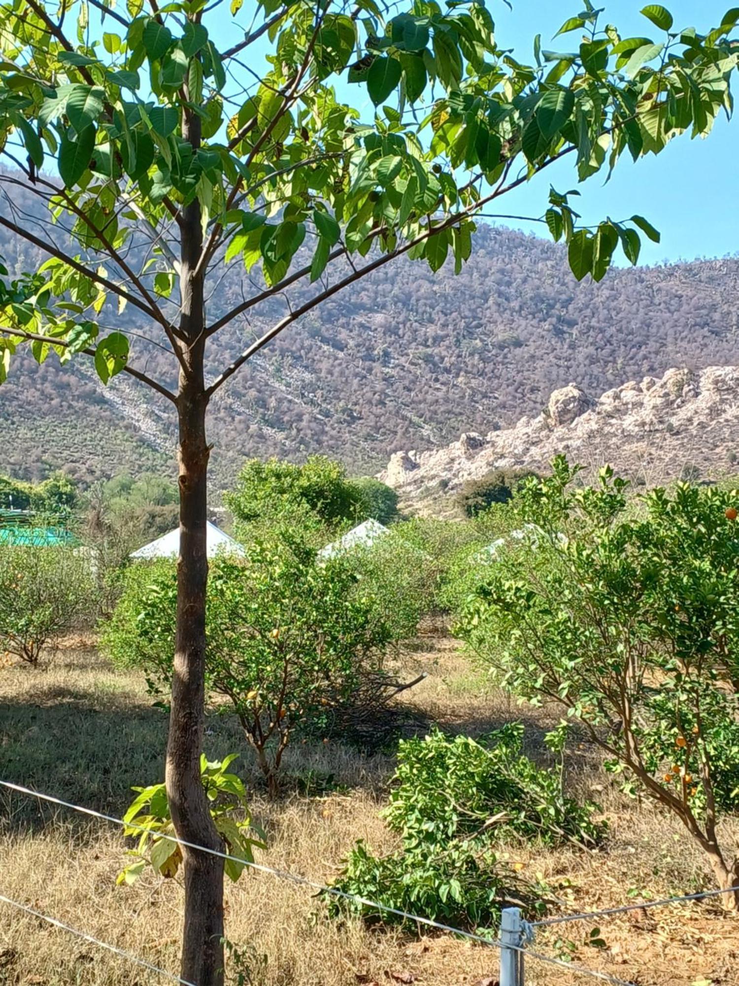 Shivir Aranya - Wilderness Resort Alwar Buitenkant foto