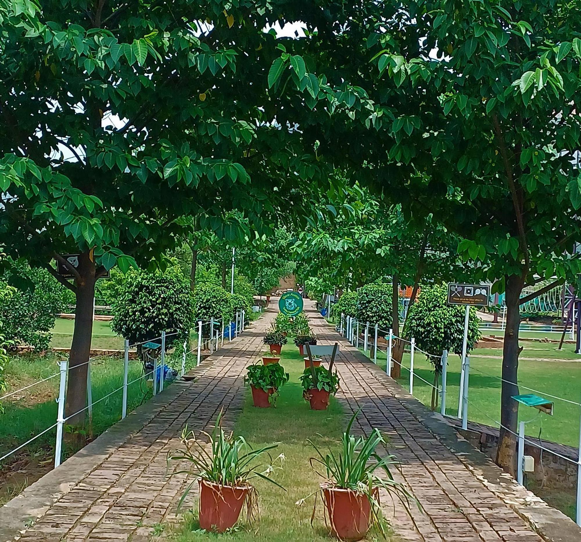 Shivir Aranya - Wilderness Resort Alwar Buitenkant foto
